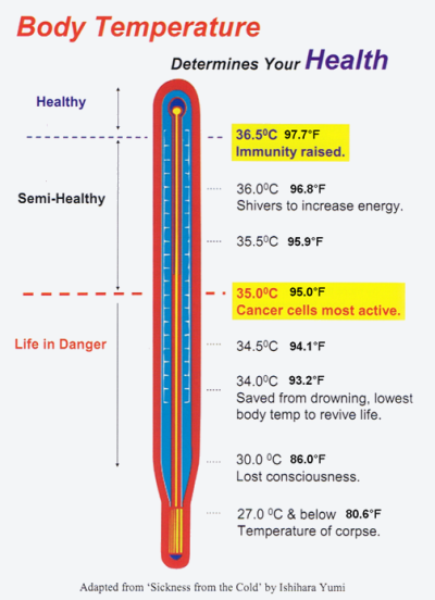 Temperature Determines Your Health